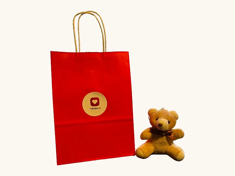 La caja abierta con el peluche adentro.